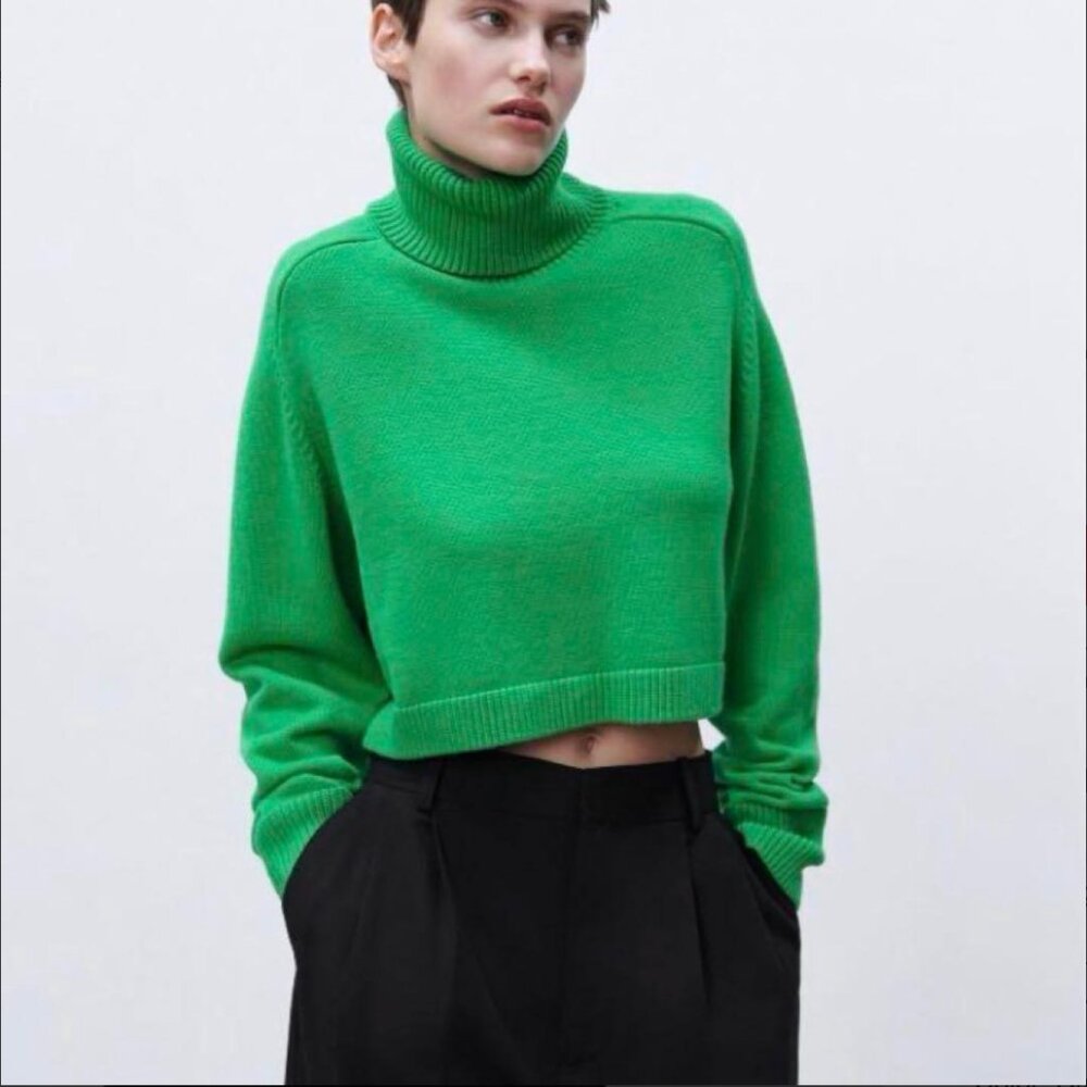Zara High Collar Turtleneck Cropped Knit Sweater S